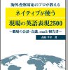 海外査察対応のプロが教えるネイティブが使う現場の英語表現2500＜職場の会話・会議、email/報告書＞ 表紙